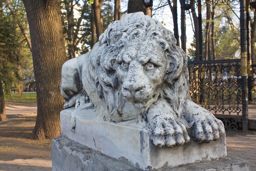 История львов из городского парка