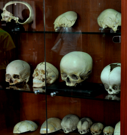 Human Anatomy Museum