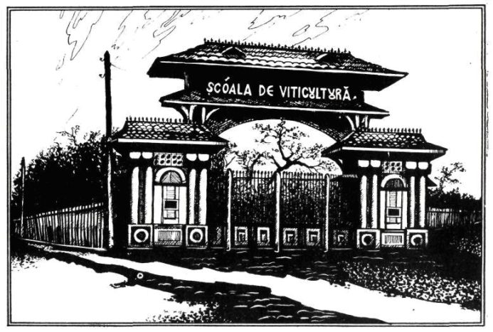 The Wine Museum in Stăuceni