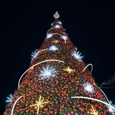 ❄️Winter holidays are beginning!